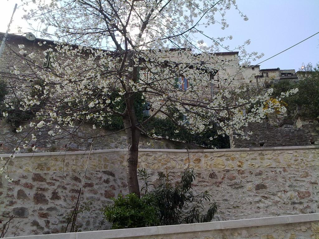 Il Paradiso Nel Borgo Arrone Экстерьер фото